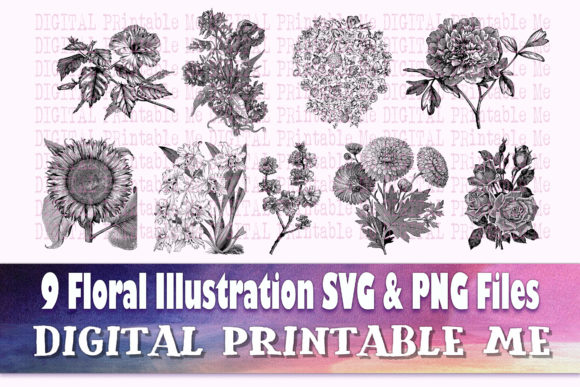 Download Floral Illustration Flower Drawing - Floral Collection