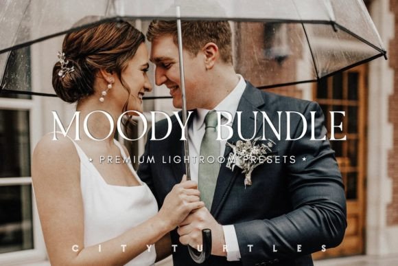 Download MOODY BUNDLE Portrait Lightroom Presets - Bundle Collection