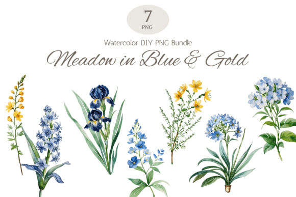 Download Blue Botanical Watercolor Floral Bundle - Bundle Collection