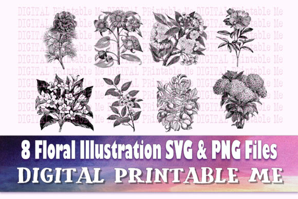 Download Floral Illustration Flower Drawing - Floral Collection