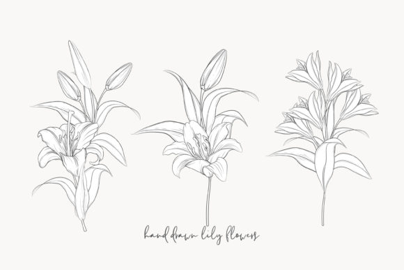 Download Illustration Floral Bouquet Set - Floral Collection