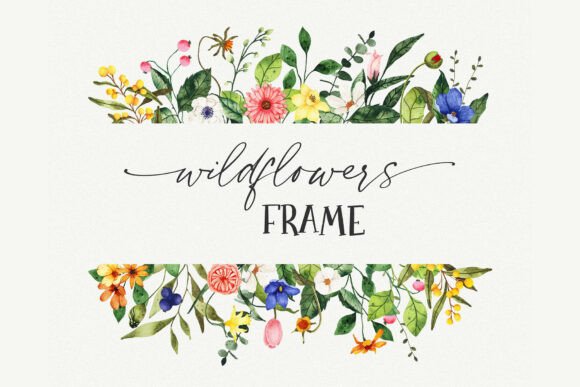 Download Floral Border PNG Clipart, Wildflower - Floral Collection