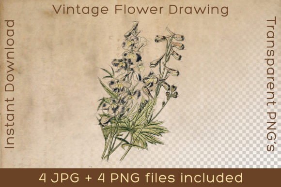 Download Flower Vintage Floral Plant Art Drawing - Floral Collection